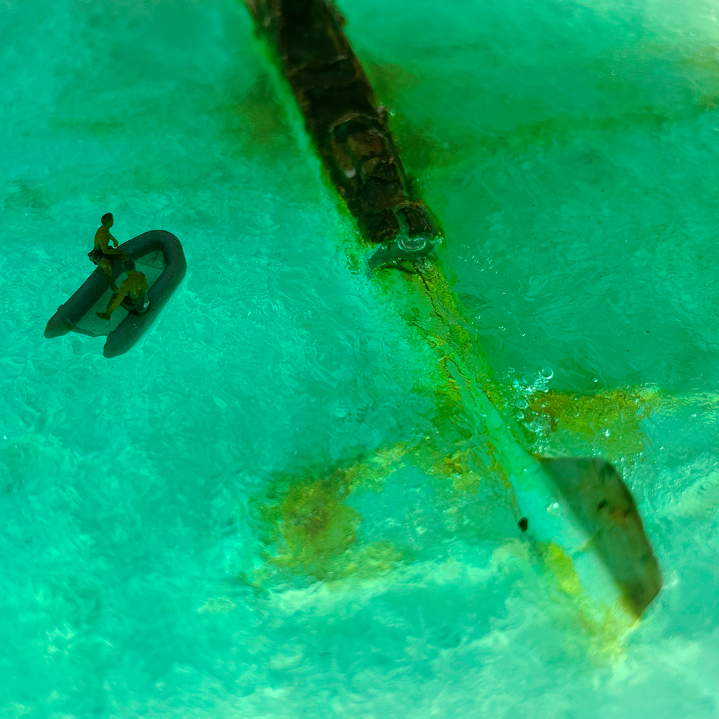 Whispers Beneath the Wings