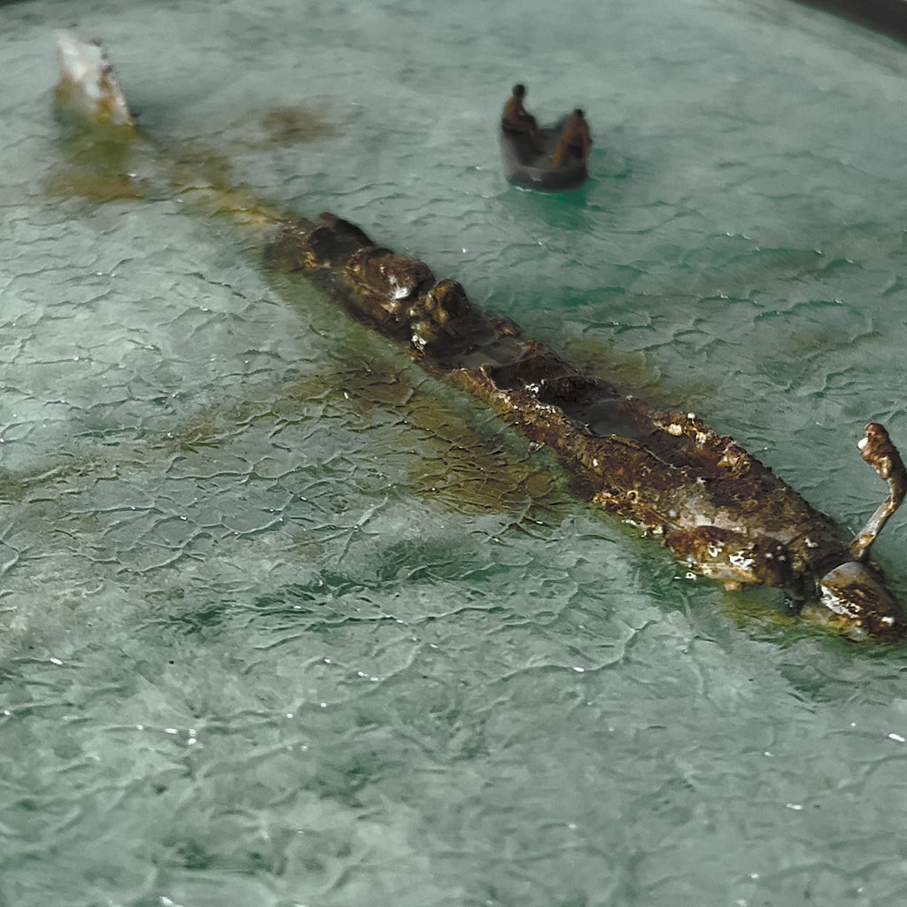 Whispers Beneath the Wings